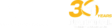 AVE Volleyball League Logo